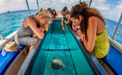 Glass Bottom Boat Ride at  Elephant Beach